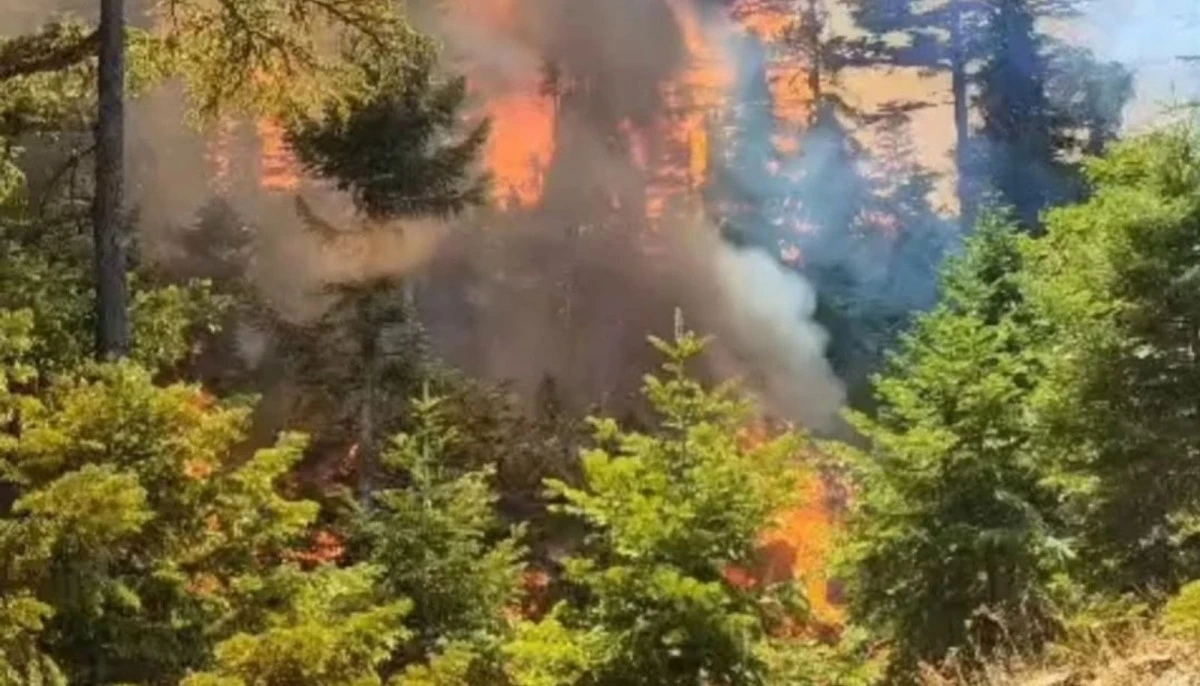 Karaman Valiliğinden Ermenek'teki orman yangınına ilişkin a&ccedil;ıklama: