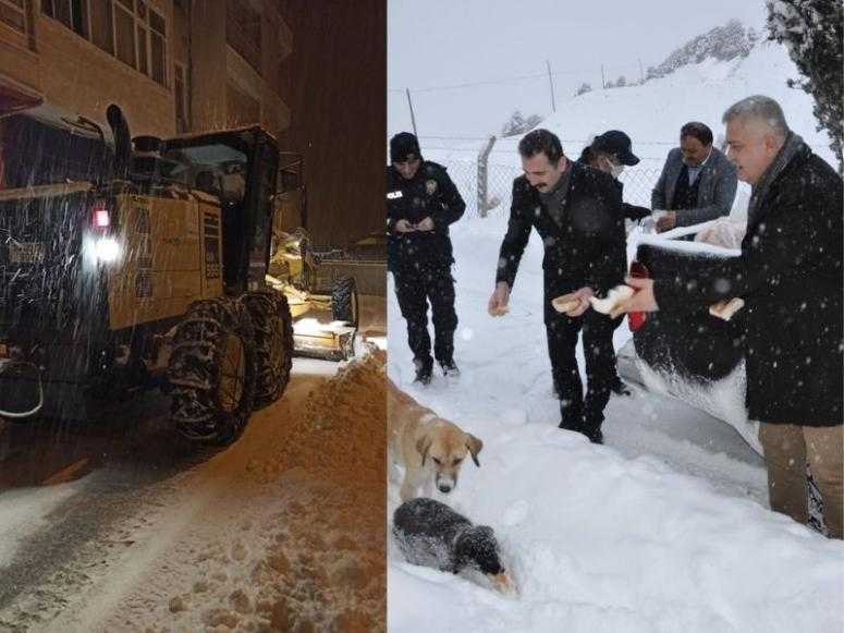 Kar k&uuml;r&uuml;me &ccedil;alışmaları devam ederken,soğuk kış g&uuml;nlerinde sokak hayvanlarıda unutulmadı!  
