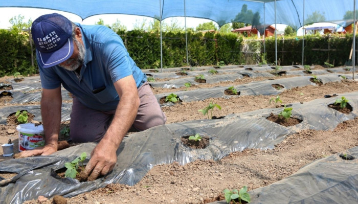 Konya’da başvurular 15 Ocak'ta başlıyor