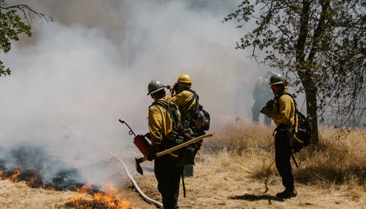 Orman iş&ccedil;ileri greve hazırlanıyor!